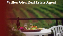 Real Estate Agent Willow Glen Realtor Willow Glen CA